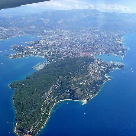 Vedran