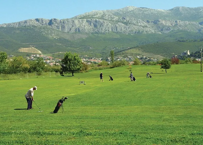 Vedran Podstrana